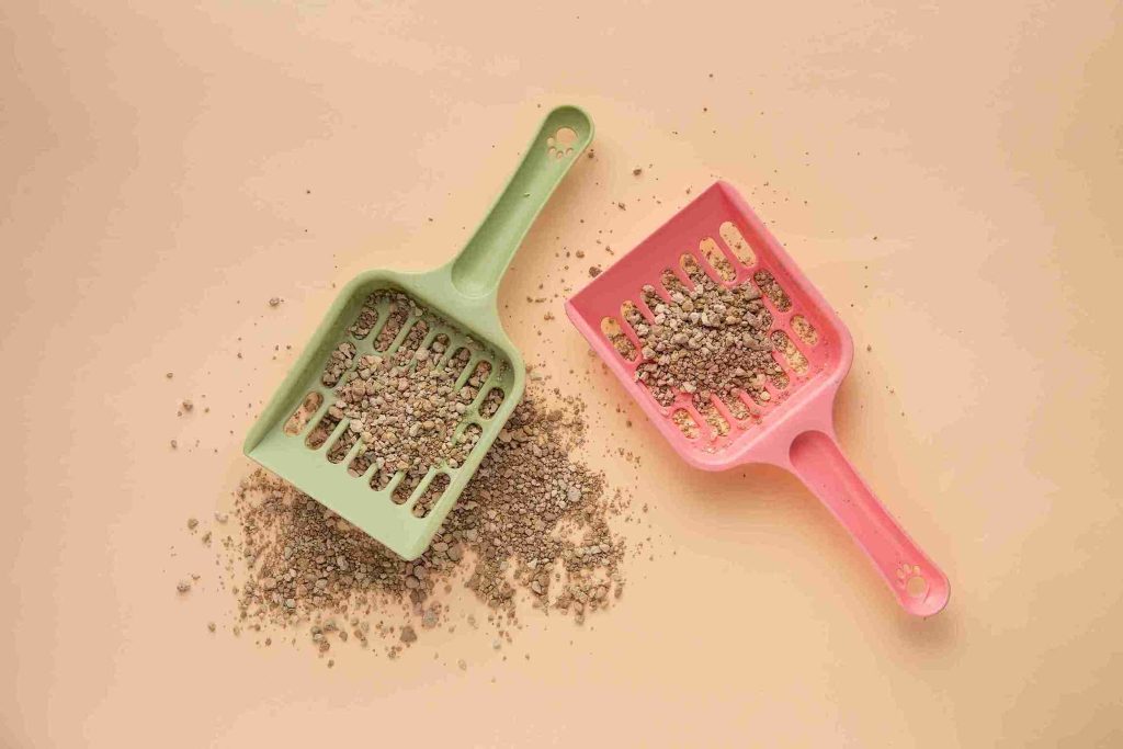 agar bayi kucing tidak mati